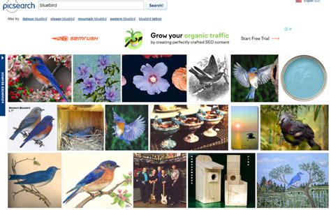 Popular Image Searches .